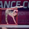 Dance Expressions