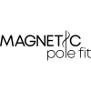 Magnetic Pole Fit